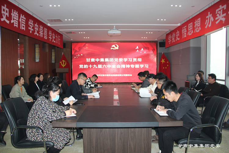 甘肅中集集團黨委學習宣傳貫徹黨的十九屆六中全會精神