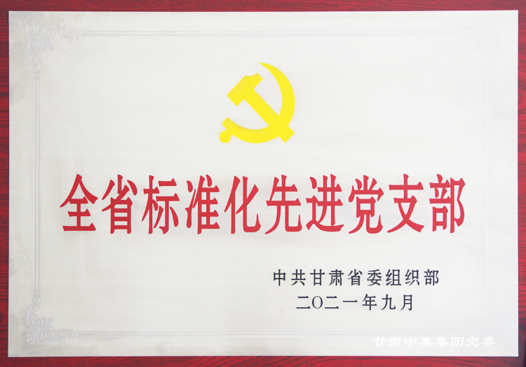 中集理想國際寫字樓聯(lián)合黨支部榮獲“全省標準化先進黨支部”榮譽稱號
